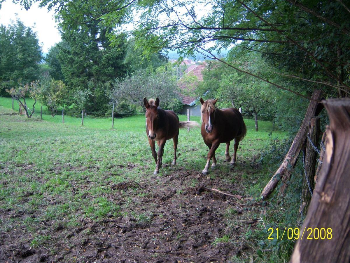 2 Chambres D'Hotes Privees Louees Separement Avec Communs A Partager Beaufort  Exterior photo
